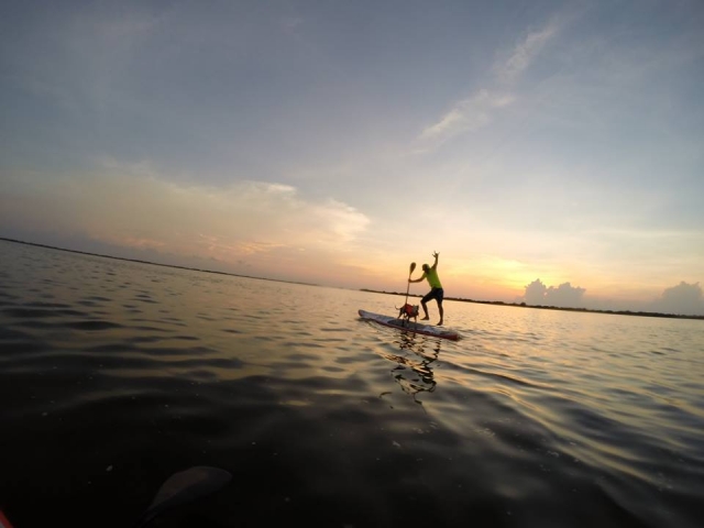  Paddle-Surf mit Haustier 